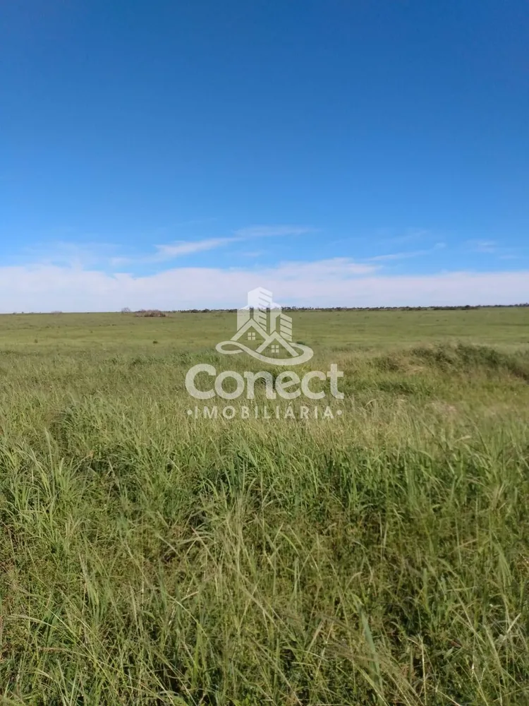 Fazenda, 2 hectares - Foto 12