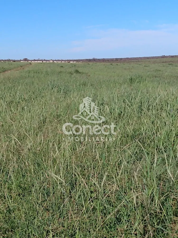 Fazenda, 2 hectares - Foto 8