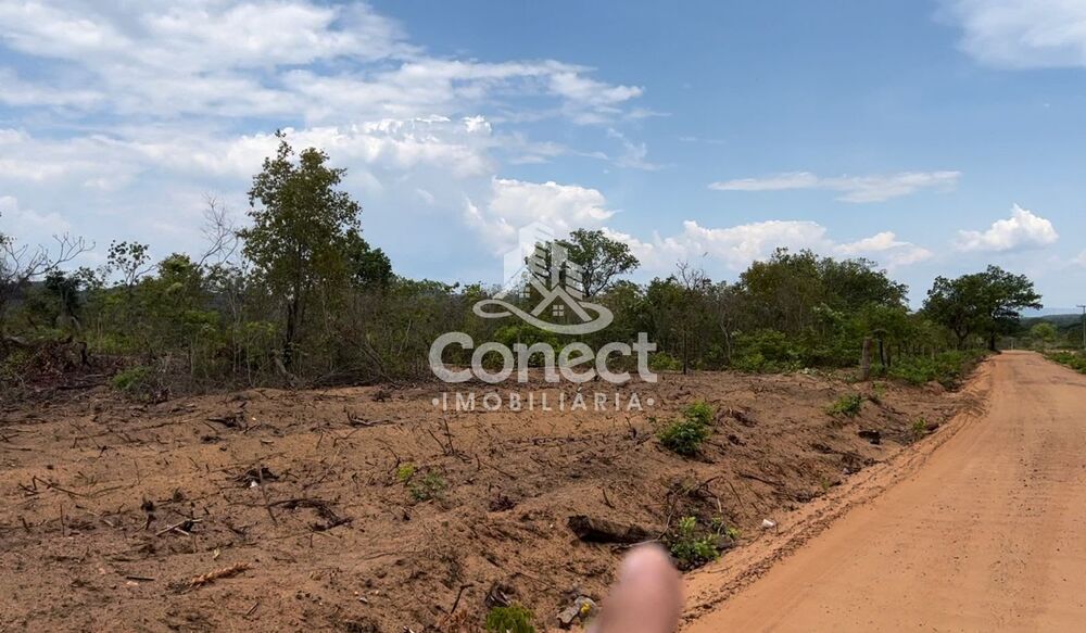 Fazenda-Sítio-Chácara - Foto 3