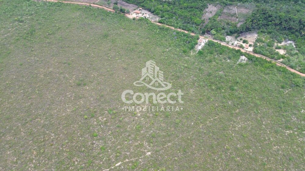 Fazenda-Sítio-Chácara - Foto 4