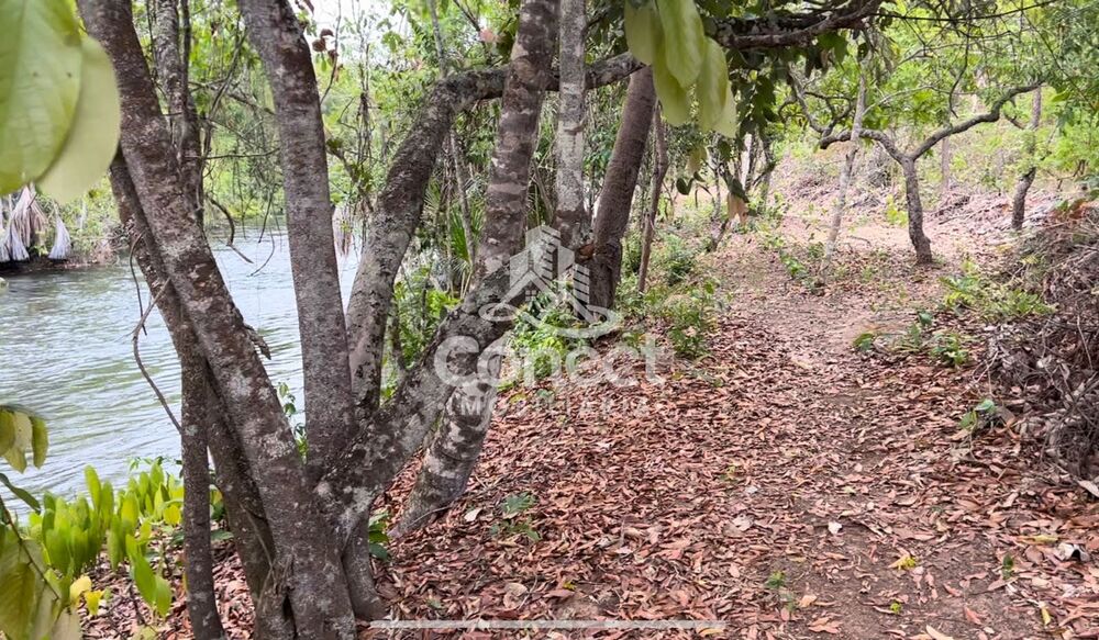 Fazenda-Sítio-Chácara - Foto 5