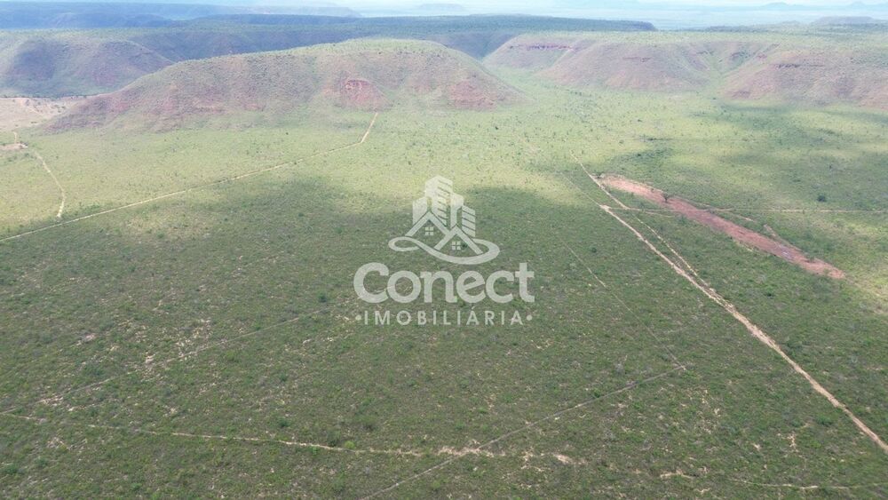 Fazenda-Sítio-Chácara - Foto 6