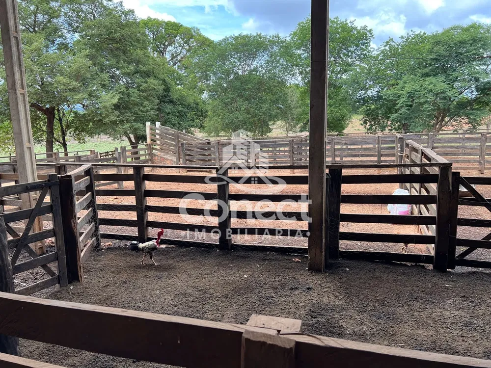 Fazenda, 3 quartos - Foto 14