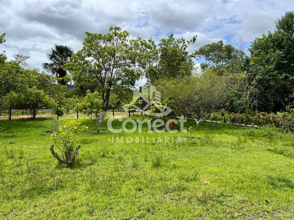 Fazenda, 3 quartos - Foto 10
