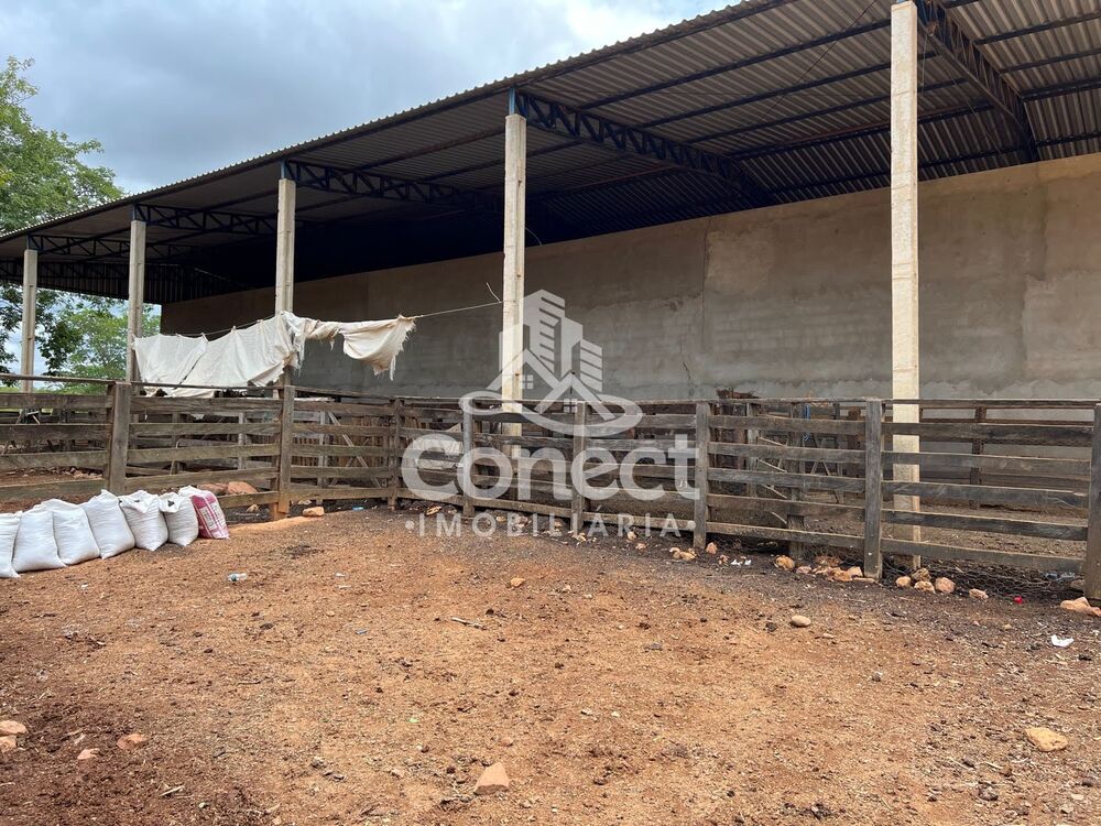 Fazenda-Sítio-Chácara, 3 quartos - Foto 7