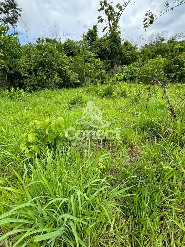 Fazenda - Foto 1