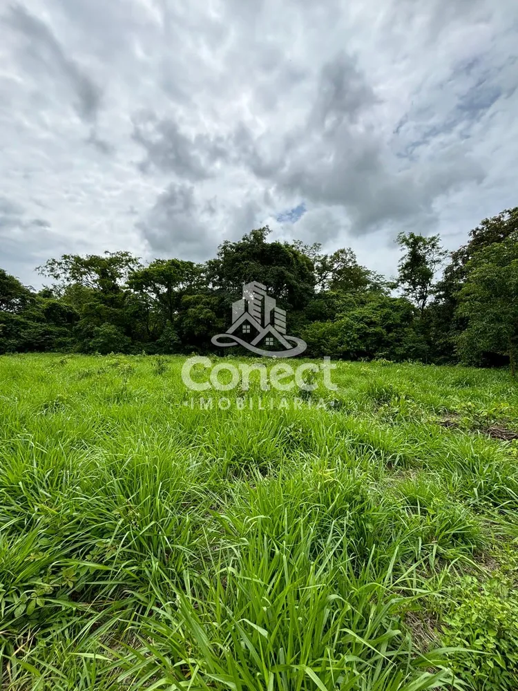 Fazenda - Foto 6