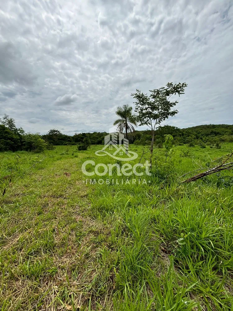 Fazenda - Foto 7