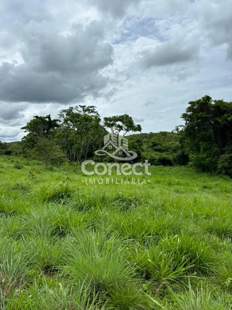 Fazenda - Foto 2