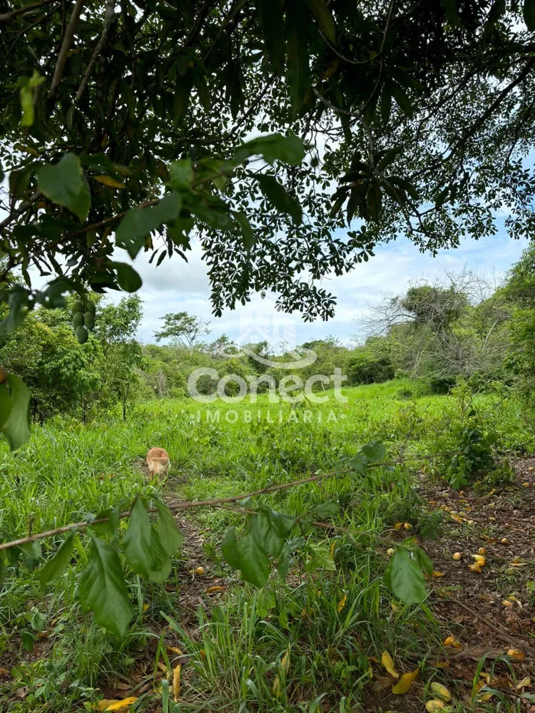 Fazenda - Foto 5