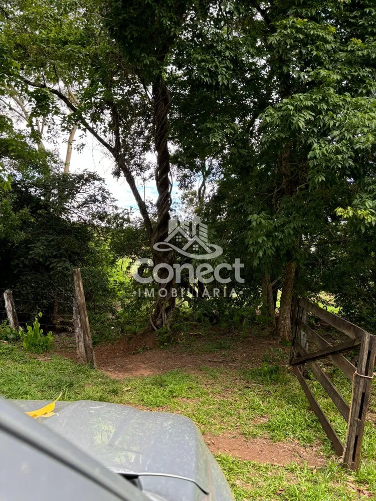 Fazenda - Foto 8