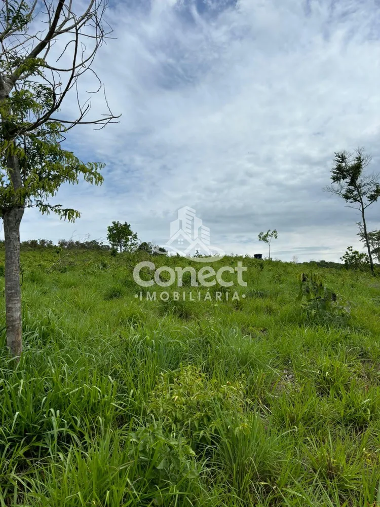 Fazenda - Foto 4