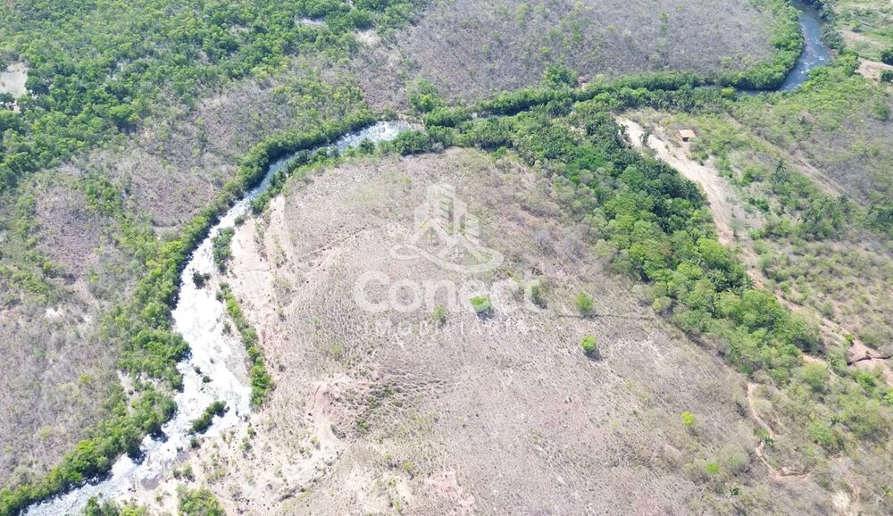 Fazenda - Foto 7