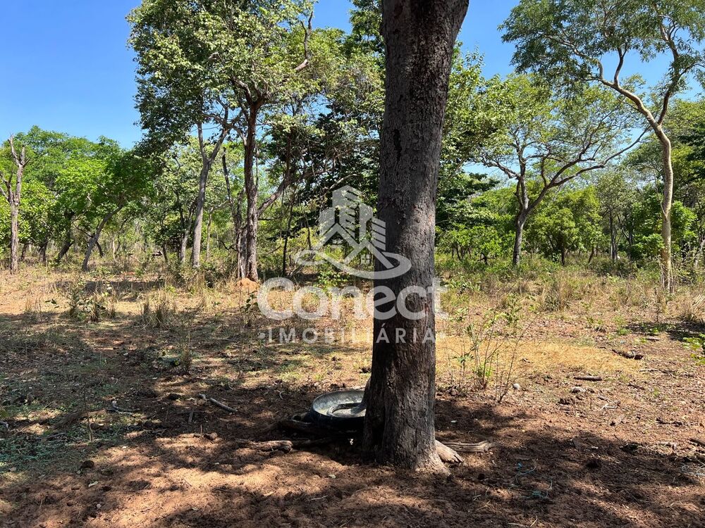 Fazenda - Foto 5
