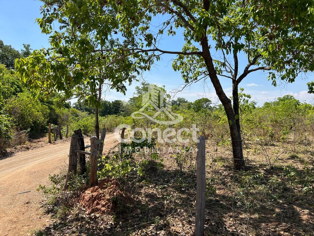 Fazenda - Foto 6