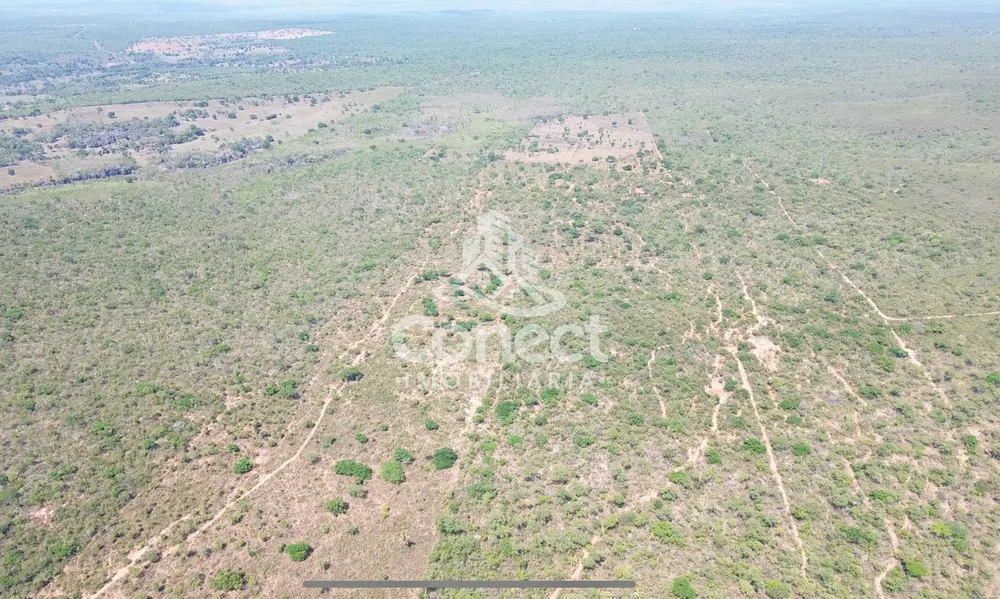 Fazenda - Foto 7