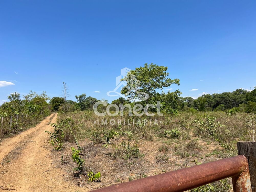 Fazenda - Foto 4