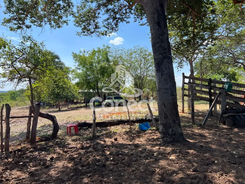 Fazenda - Foto 4