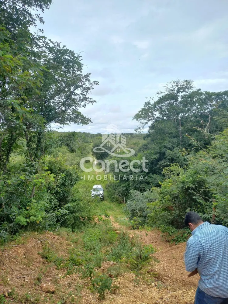 Fazenda, 5421 m² - Foto 1