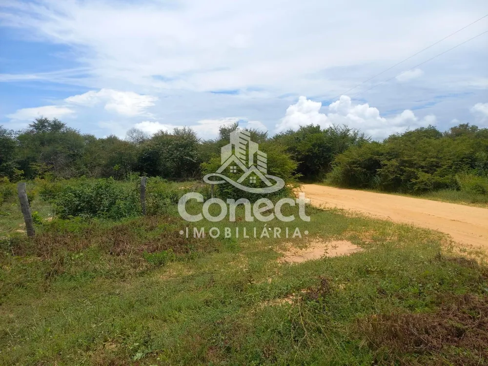 Fazenda, 5421 m² - Foto 7