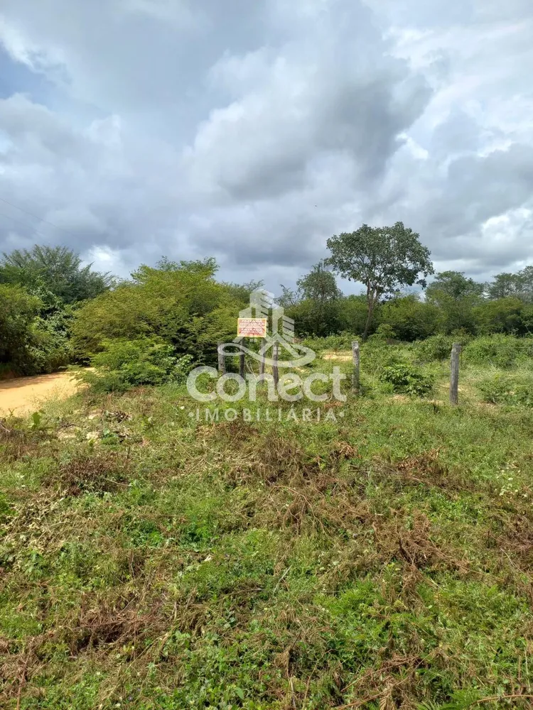 Fazenda, 5421 m² - Foto 8
