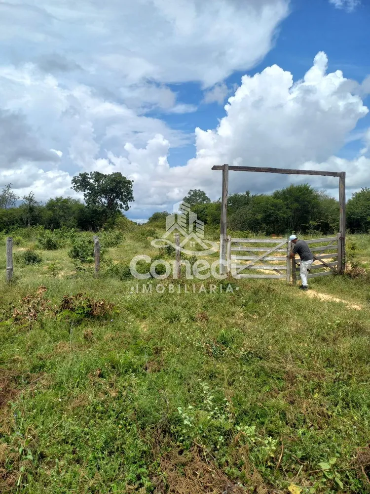 Fazenda, 5421 m² - Foto 3