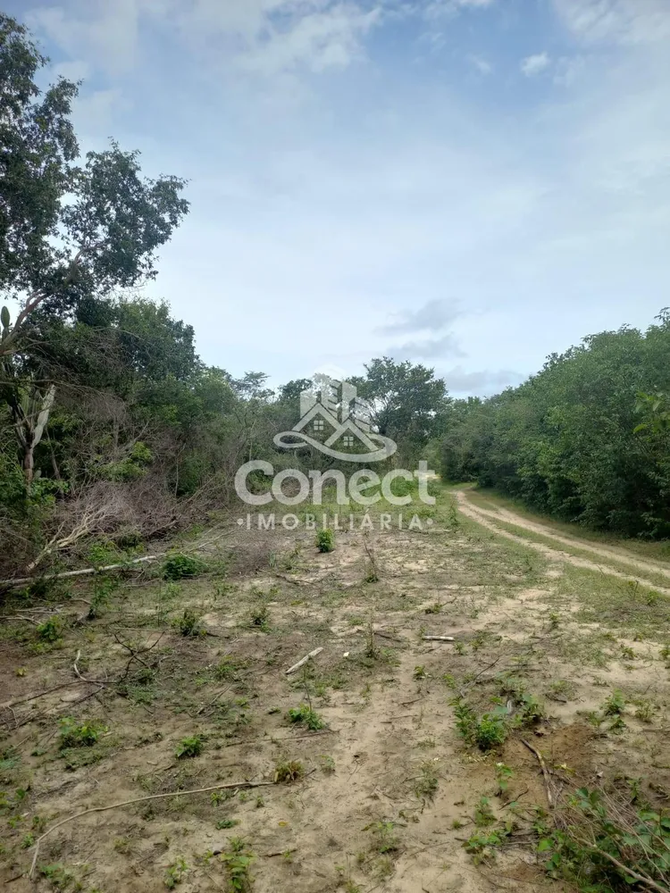 Fazenda, 5421 m² - Foto 5