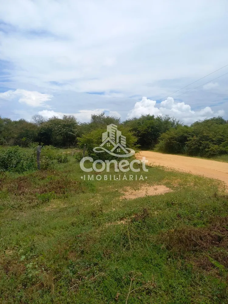 Fazenda, 5421 m² - Foto 10