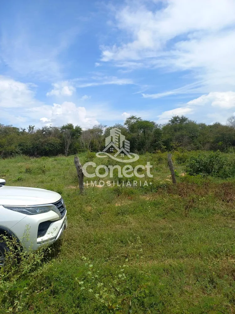 Fazenda, 5421 m² - Foto 6