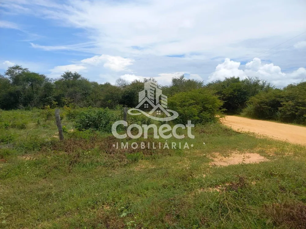 Fazenda, 5421 m² - Foto 4