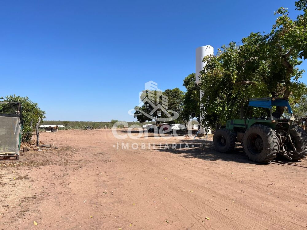Fazenda à venda - Foto 8