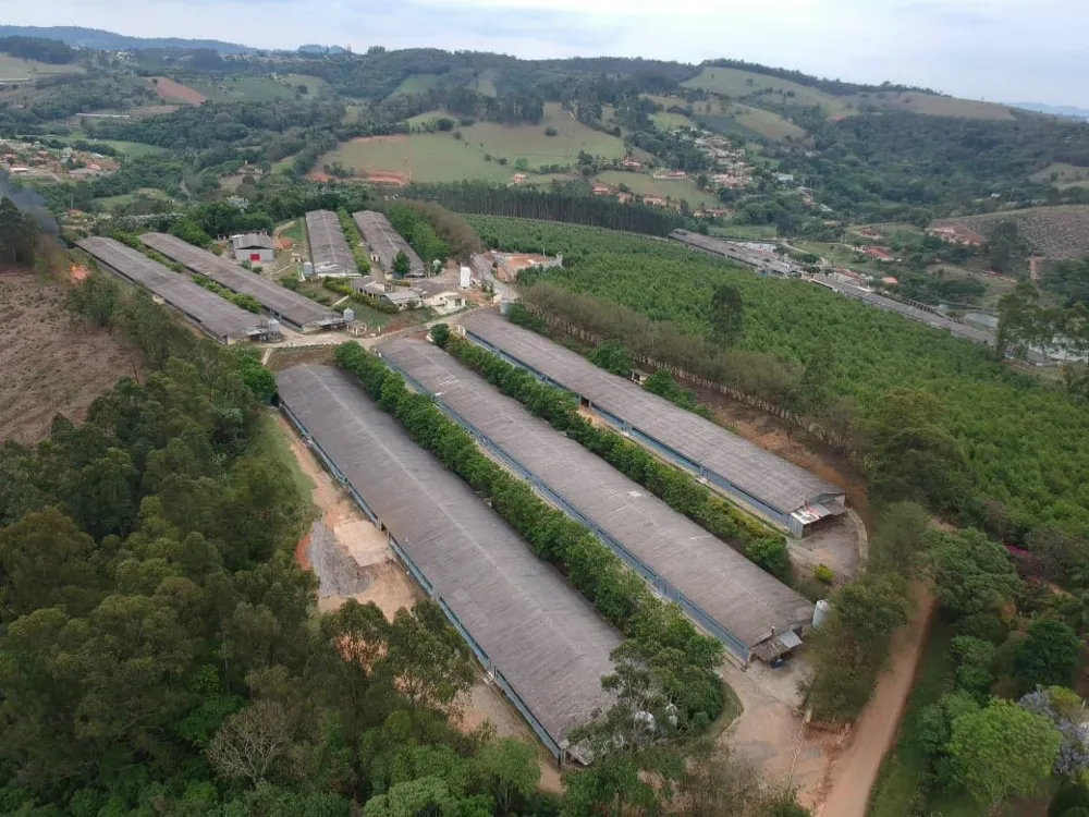 Sítio, 6 hectares - Foto 1