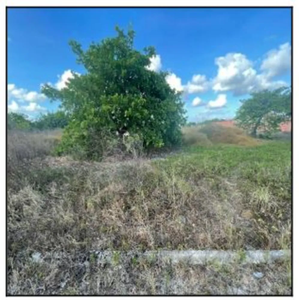Terreno, 50 m² - Foto 2