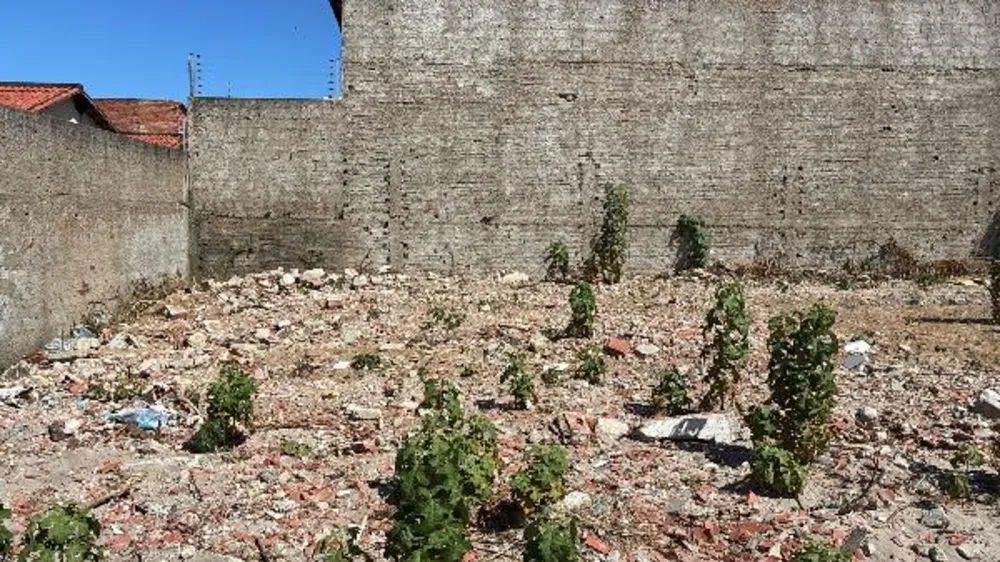 Terreno, 65 m² - Foto 2
