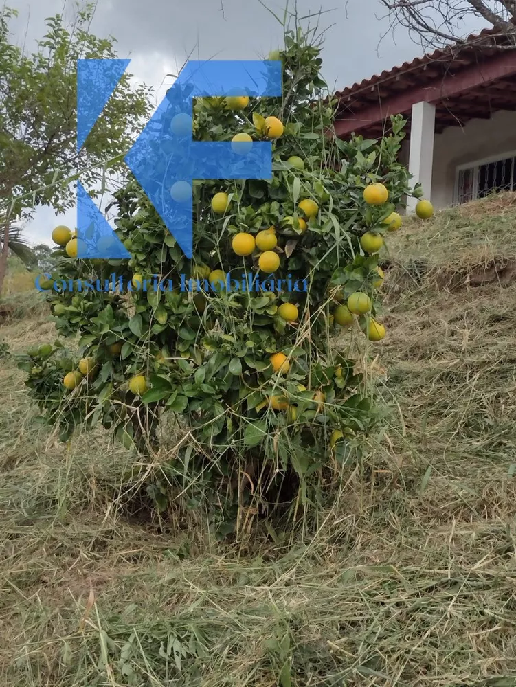 Chácara, 2 quartos - Foto 3