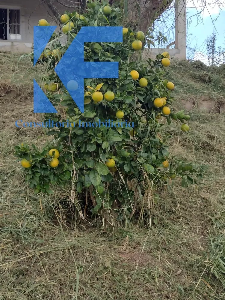 Chácara, 2 quartos - Foto 4