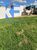 Terreno - Foto 7