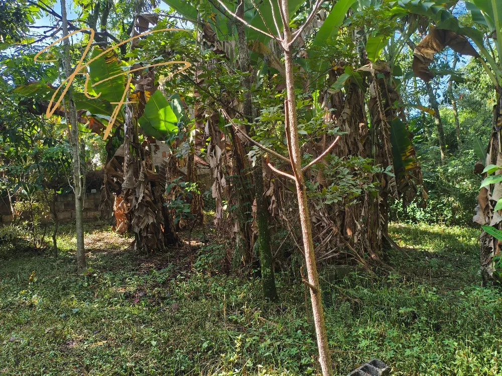Chácara, 3 quartos - Foto 14