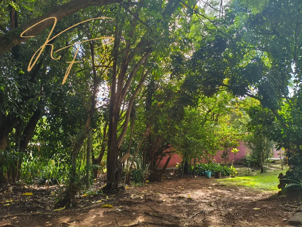 Chácara, 3 quartos - Foto 2