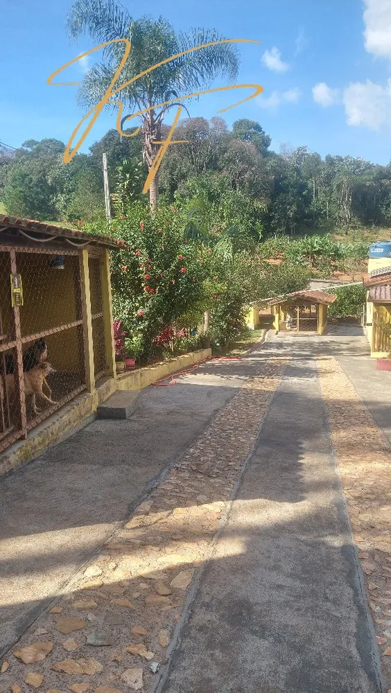 Chácara, 6 quartos - Foto 4