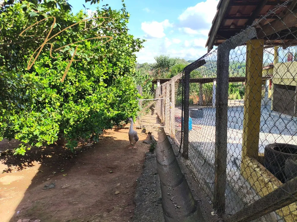 Chácara, 6 quartos - Foto 14