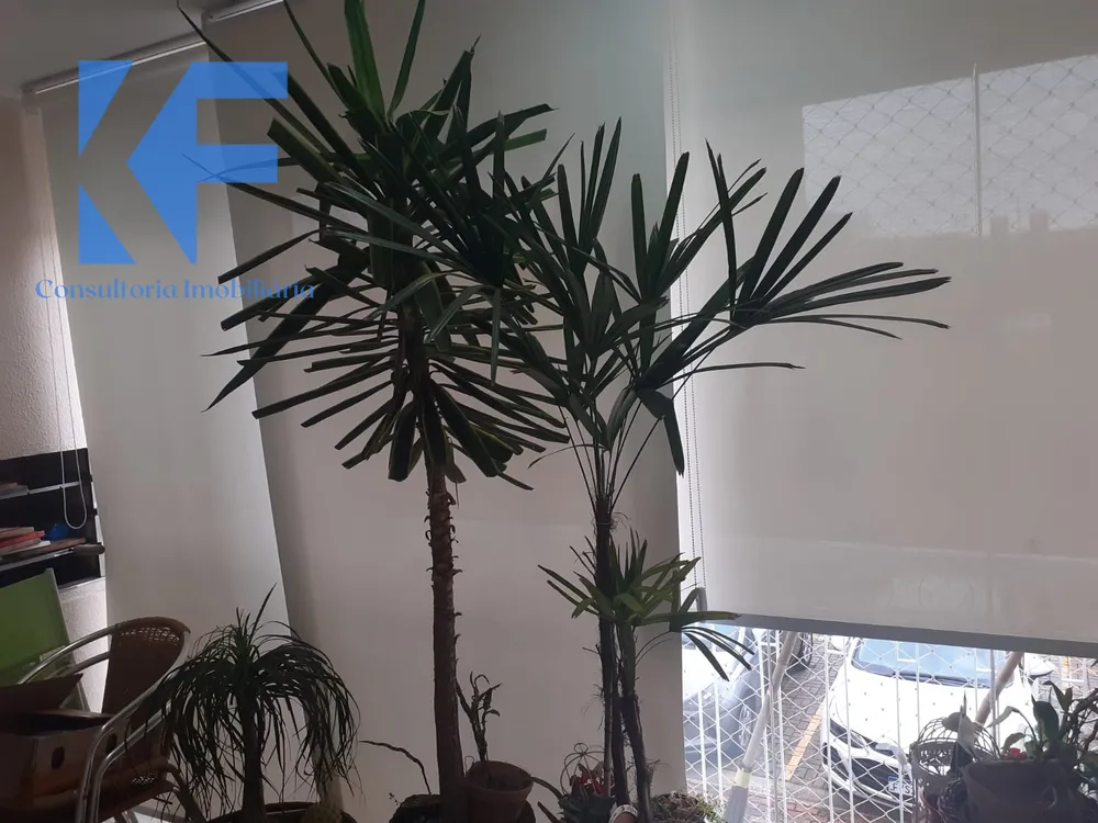 Apartamento, 3 quartos, 300 m² - Foto 4