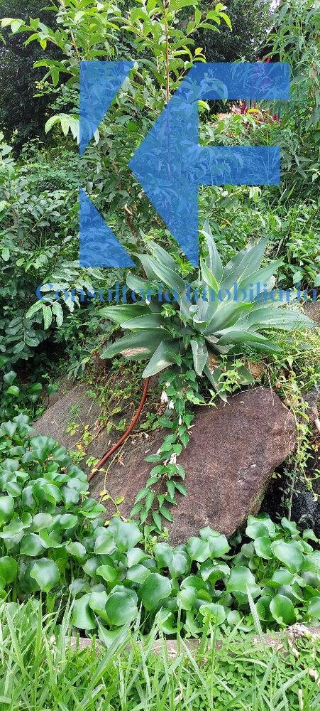 Chácara, 1 quarto - Foto 17