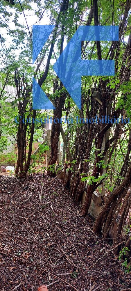 Chácara, 1 quarto - Foto 18