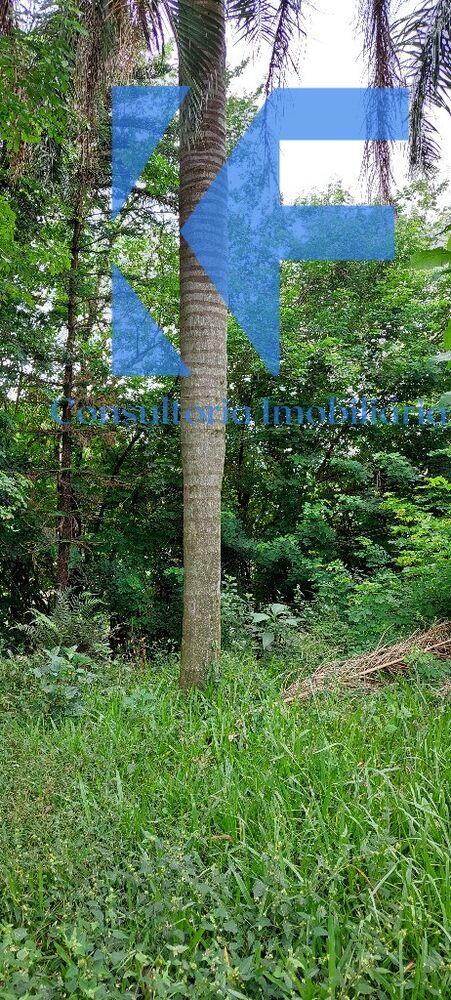 Chácara, 1 quarto - Foto 30