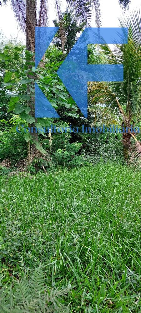 Chácara, 1 quarto - Foto 31