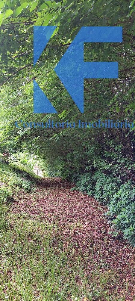 Chácara, 1 quarto - Foto 15