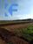 Fazenda - Foto 2