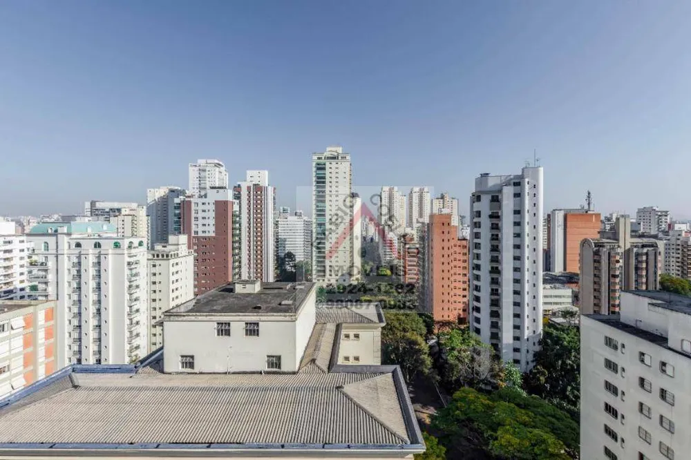 Apartamento, 3 quartos, 236 m² - Foto 4