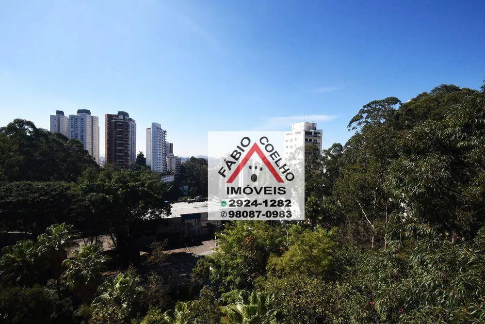 Apartamento, 4 quartos, 240 m² - Foto 11
